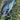 BFS Fishing Rod, Hunt BFS Rod