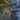 Kistler Big Country Fishing Rod - Big Swimbait 7' 10"