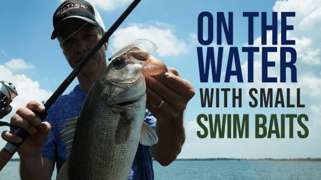 On The Water With Small Swim Baits