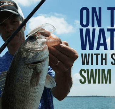 On The Water With Small Swim Baits