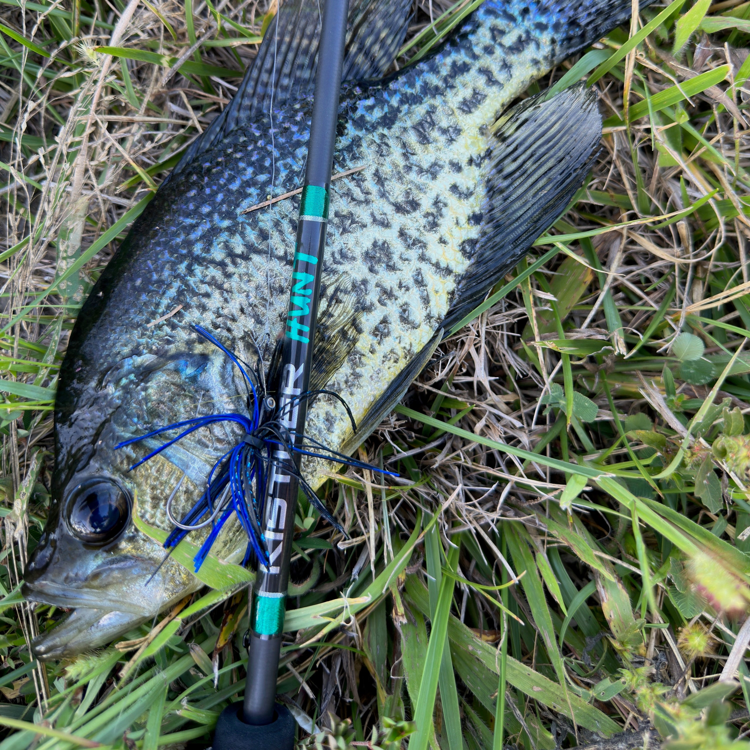 Hunt BFS Fishing Rods – KISTLER Fishing