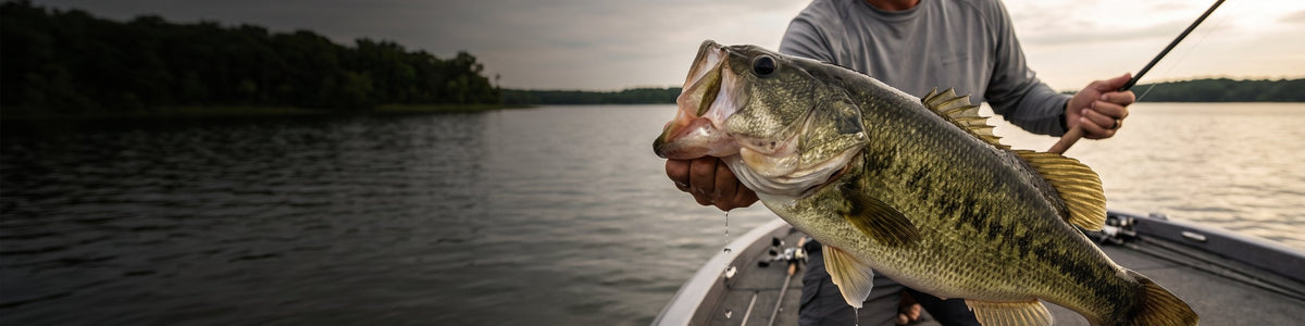 Kistler pro staff angler working a shoreline